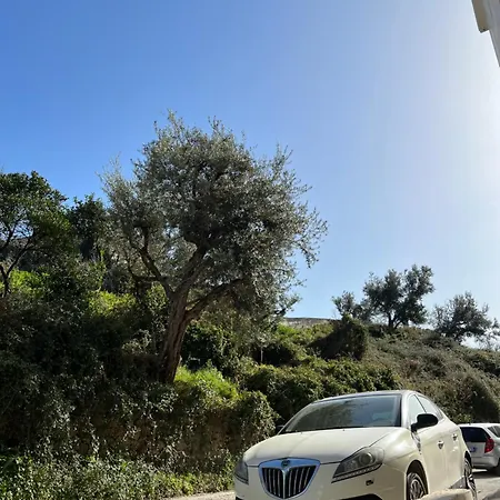 Olive Escape *